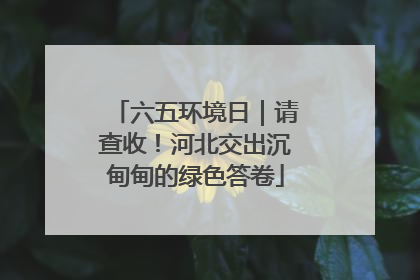 六五环境日｜请查收！河北交出沉甸甸的绿色答卷